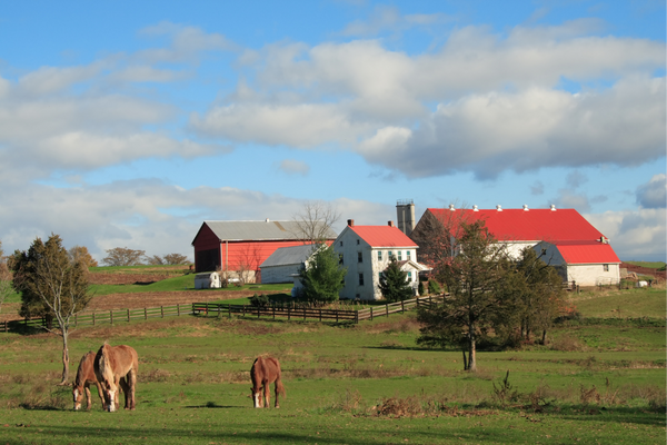 finca en pagina de Fontanero y Albañil en Alcalá de Henares